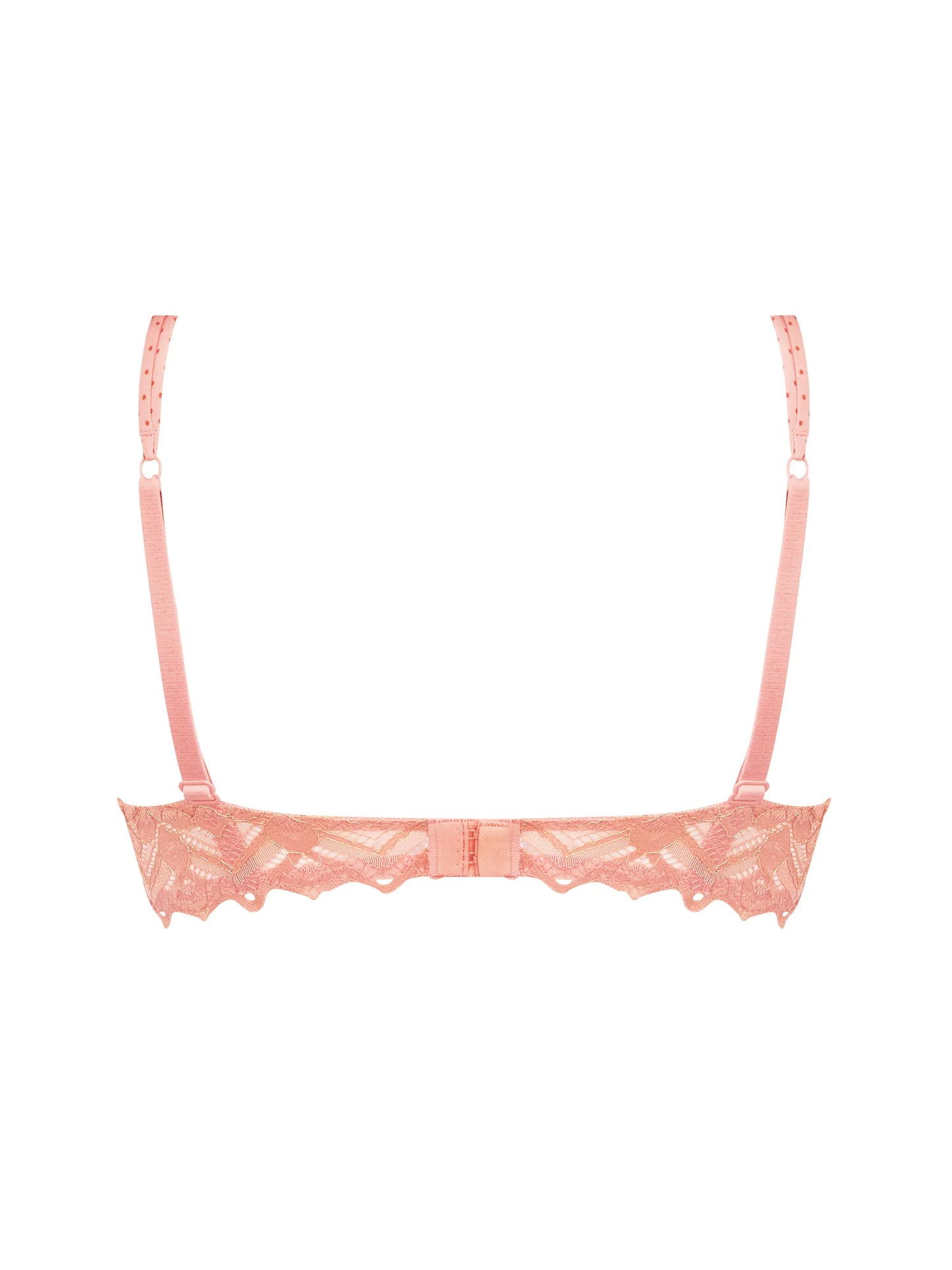 Petille en Glam Padded Push Up Bra back picture