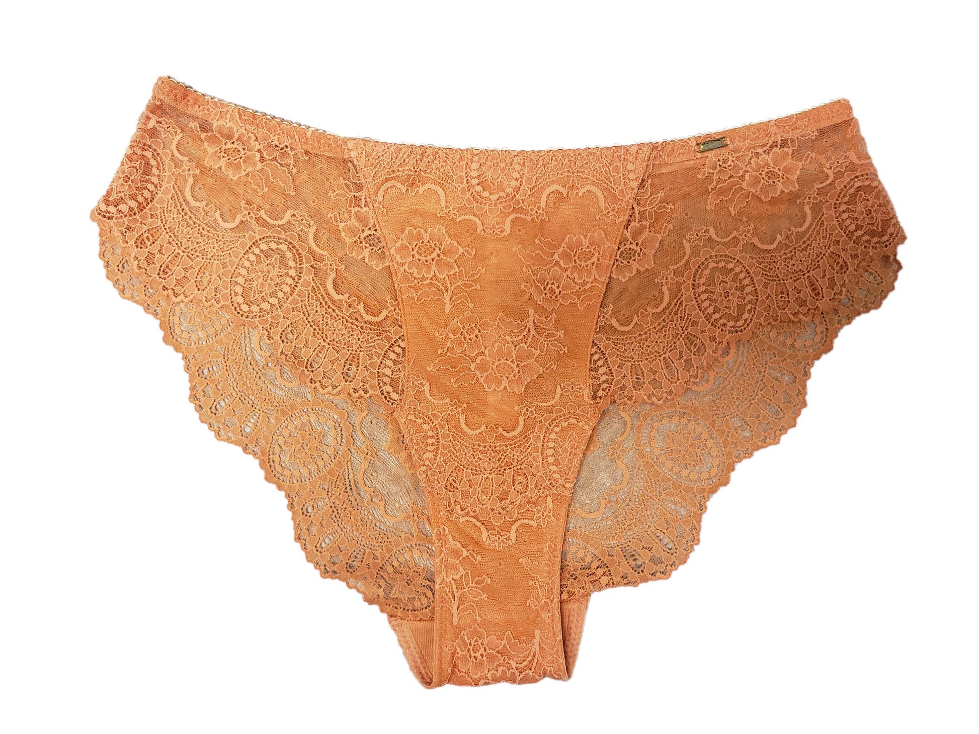 Crafted from premium fabrics, this Leilieve Attraction line brief is cut with precision to produce an elegant and sophisticated look. Constructed with Italian soft and stretchy lace, the superb quality of this garment provides an attractive and alluring appearance.