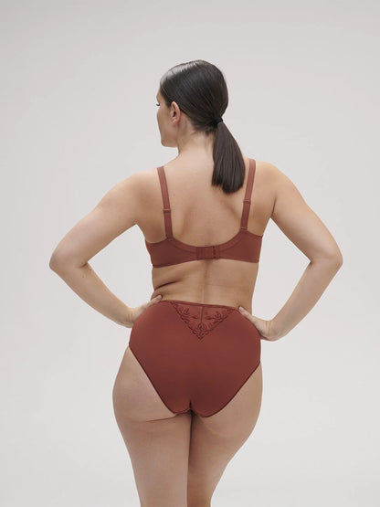 Model is wearing Andora Embroidered Retro Brief back picture with matching bra (sold separately)