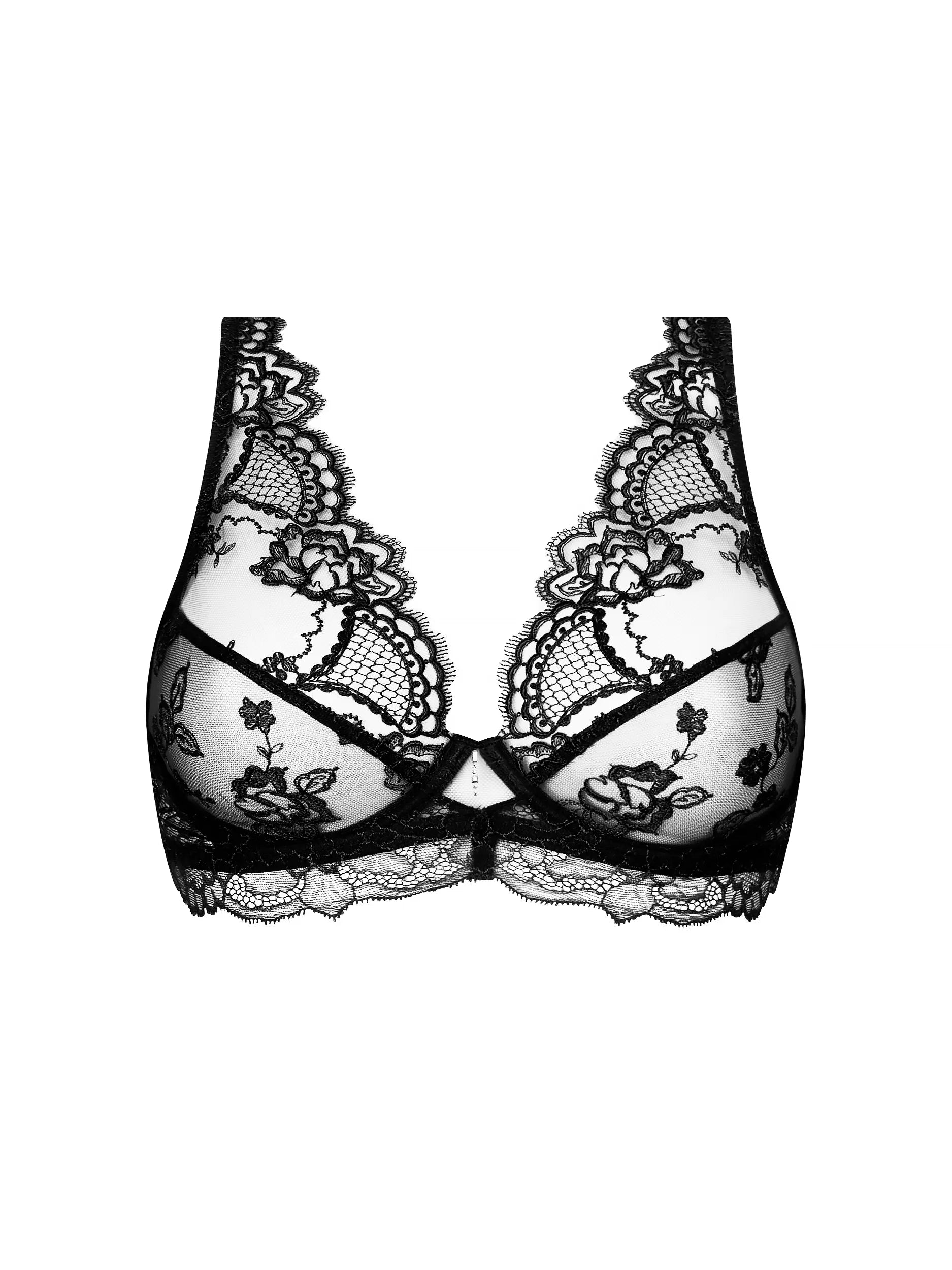 An exquisite bra from the Sublime en dentelle line by Lise Charmel, France, front picture