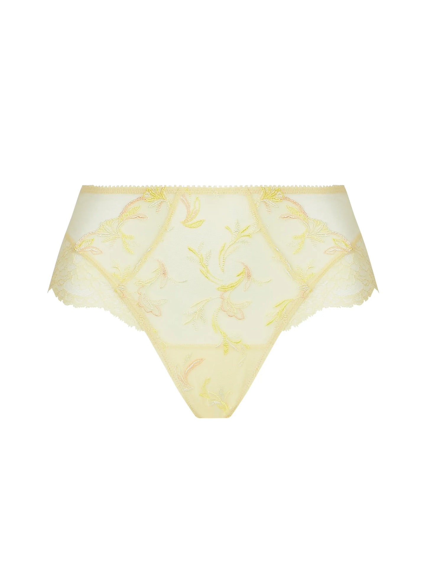 Frisson D'Or Shorty