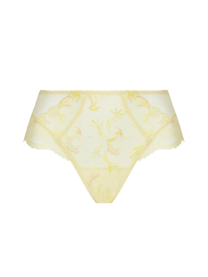 Frisson D'Or Shorty
