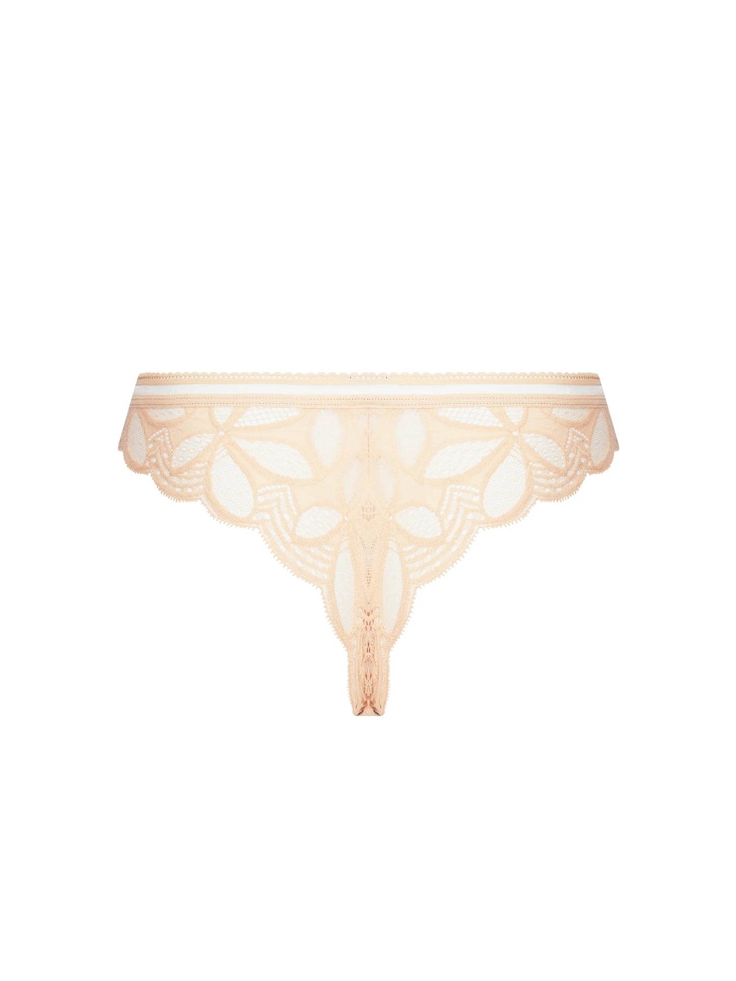 Stricto Sensuelle Lace Thong back picture