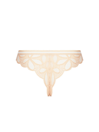 Stricto Sensuelle Lace Thong back picture