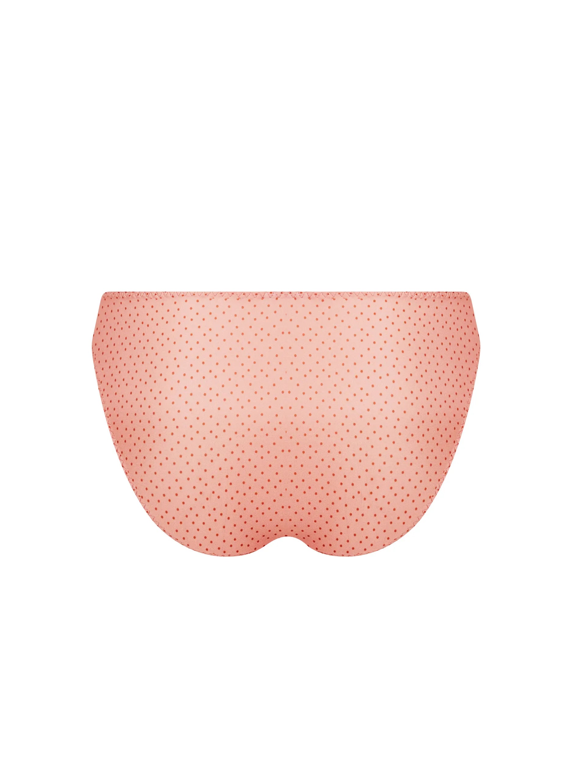 Petille en Glam Bikini Brief back picture