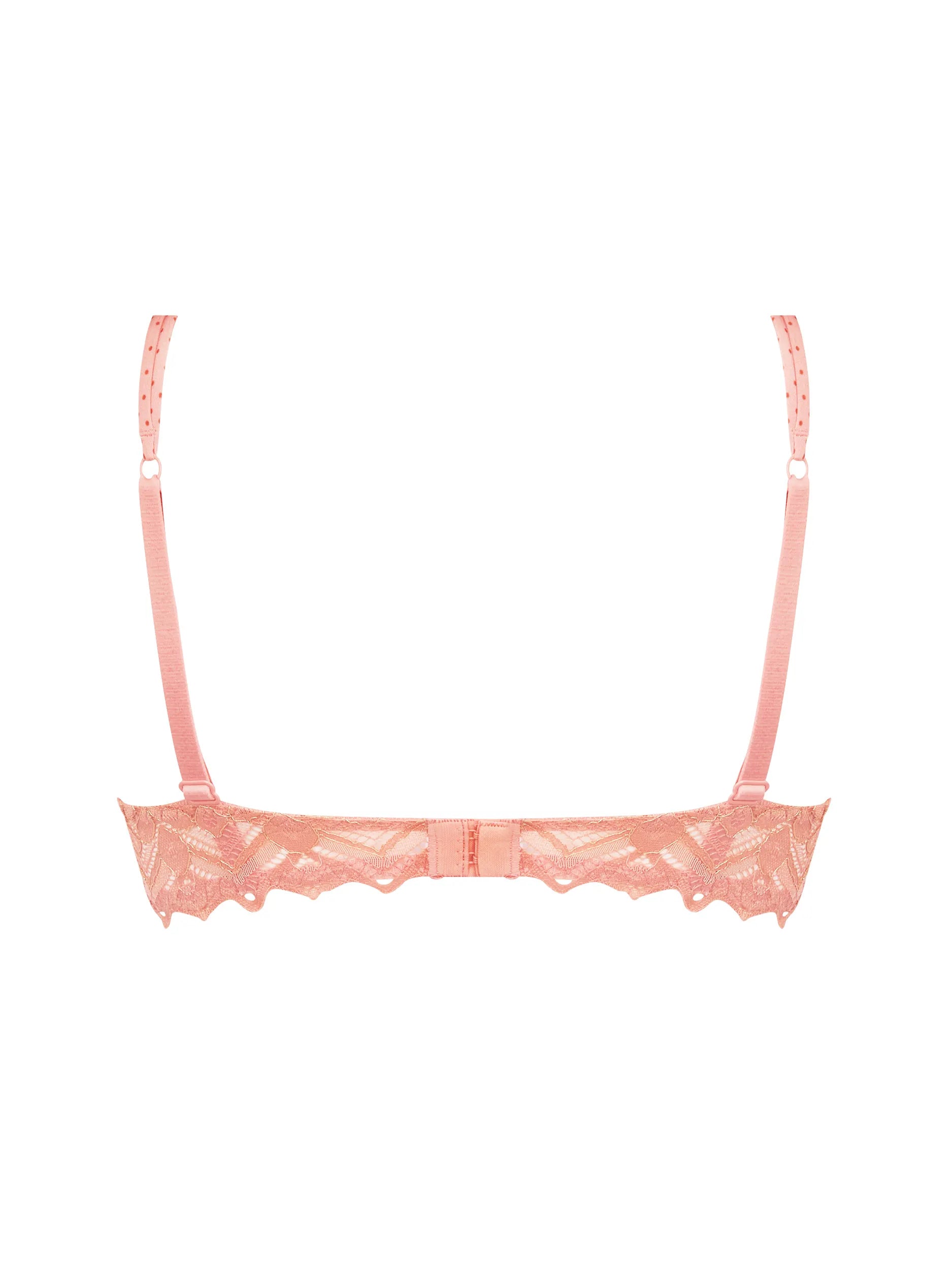 Petille en Glam Padded Push Up Bra back picture