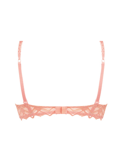 Petille en Glam Padded Push Up Bra back picture